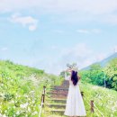 서문산림 이미지