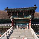 만덕사 Daum카페
