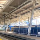 세환쇼핑 이미지