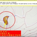 월영농장 이미지