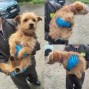 복운3리마을회관 이미지