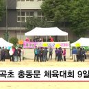 난곡초등학교 이미지