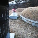 수성최씨시조묘 이미지