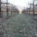 뉴한길공인중개사사무소 이미지