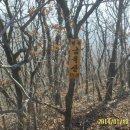 나원초등학교 이미지