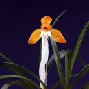 천자로-2 이미지