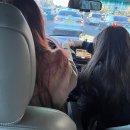 토하펜션 | (가평) 글램핑계의 신라호텔 노마드글램핑 솔직후기