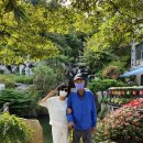 화수목 농원 이미지