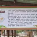 양평양떼목장 이미지