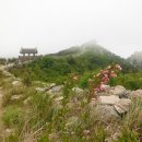 사기봉 ~ 원효봉 ~ 의상봉 ~ 제4망루 ~ 제3망루 ~ 동문 ~ 산성고개 ~ 남문 ~ 만덕1터널 앞 명광사)