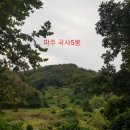 행신1호(번데미 어린이공원) | #고양파주1천산 #파주 #용미공원묘지 #100구역