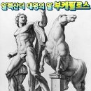 부케팔로스 이미지