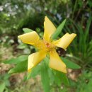 우리농장2 이미지