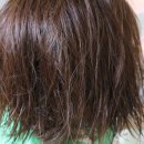 아띠아몽 이미지