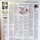 책방악어새 이미지