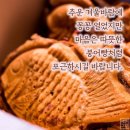 개밥주세요 이미지