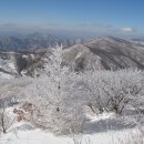 1월 7일 (일요일)[06:10 출발] 강원 태백 함백산(해발1,573m) 은대봉 이미지