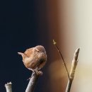 뉴노래연습장 이미지