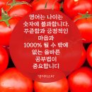 시니어 영어 초급 이미지