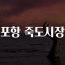 죽도시장 이미지