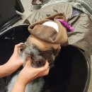 WT메소드 수유점 이미지