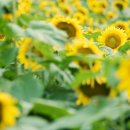 김승수 농장 이미지