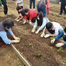 서남초등학교 이미지