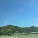 강원도 양양 계곡 캠핑장 법수치계곡에서 여름 이겨내기