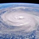 태풍이네 이미지