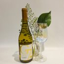 G7 레드 | G7 샤도네이 (이마트 와인) 시음 후기