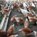 추구농장 이미지