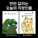 프로피티 이미지