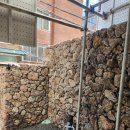 강서구-44 이미지