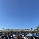 골든위크 | 일본 골든위크 도쿄 디즈니랜드 오픈런 후기 (일본 골든위크를 곁들인 가족여행 -3 )