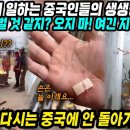 중국반응│한국에서 일하는 중국인들의 생생한 증언│최근 한국 취업 소개 영상 급증하는 중국상황│​조국을 사랑하고 고향이 그립지만 그래도 이미지