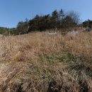 봉명보건진료소 이미지