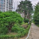 연세몸편한재활의학과의원 이미지