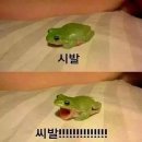 난임 대추밭백한의원 두달복용부터 일산마리아 인공수정 1차 과정 증상 비용