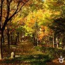 강남-131 이미지