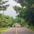화북진지 | 제주도 화북포구 사라봉 둘레길 산지등대 풍경