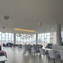 새롬자동차 | 세종 아쌍트 두쫀쿠 후기 외 새해 맞이 일상