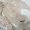 중앙동257 | 부산 중앙동 오뚜기식당 리뷰_ 생선찜·광어선어회·꼼장어