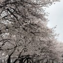 더네이처산부인과 | 일기] 초산모 출산 당일 기록ㅣ유도분만 실패 제왕절개ㅣ송탄 더네이처 산부인과 출산 후기ㅣ진진통 증상