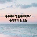 블루베리 엉클베리하우스 짜먹는 블루베리 솔직후기 및 효능 (내돈내산)