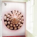 자연의집 이미지