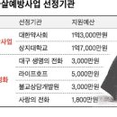 강봉윤약국 한국일보