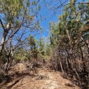 수정산가족체육공원입구 | 부산 석탑봉, 엄광산, 구봉산 등산코스 수정산가족체육공원 하산