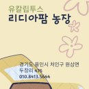 자학농장 네이버블로그