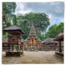 뿌리깊은우리역사 | 발리 우붓 몽키포레스트 입장권과 사원의 의미 역사