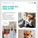 개님살롱레이크사이드 이미지